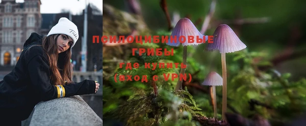 ешки Балахна