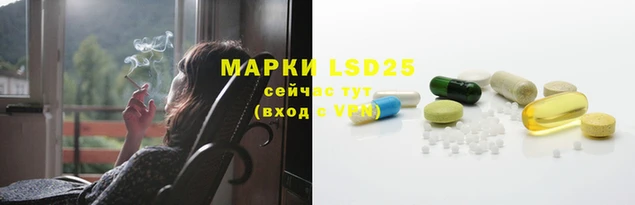 apvp Магас