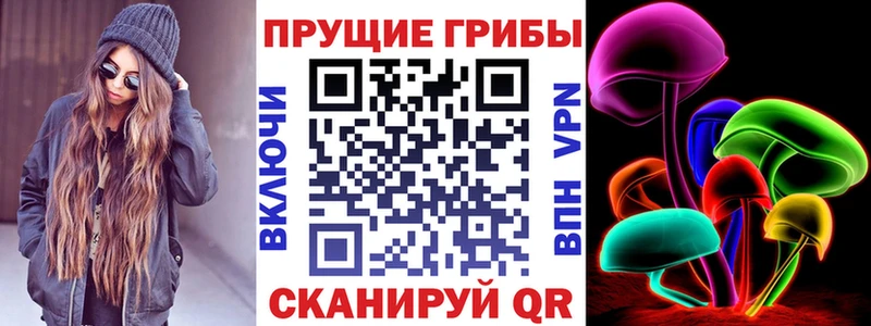 blacksprut ссылки  Ржев  Псилоцибиновые грибы Psilocybe 